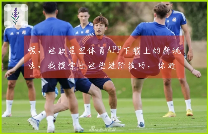嘿，这款星空体育APP下载上的新玩法，我摸索出这些进阶技巧，你赶紧试试！