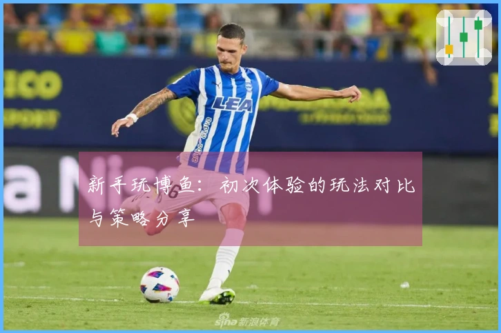 新手玩博鱼：初次体验的玩法对比与策略分享